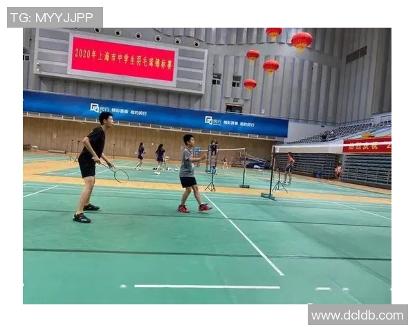 赛后分析:上海羽毛球队与深圳羽毛球队的战术意识与表现对比